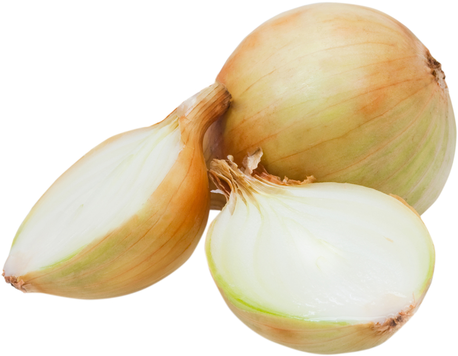 Onion 438-image