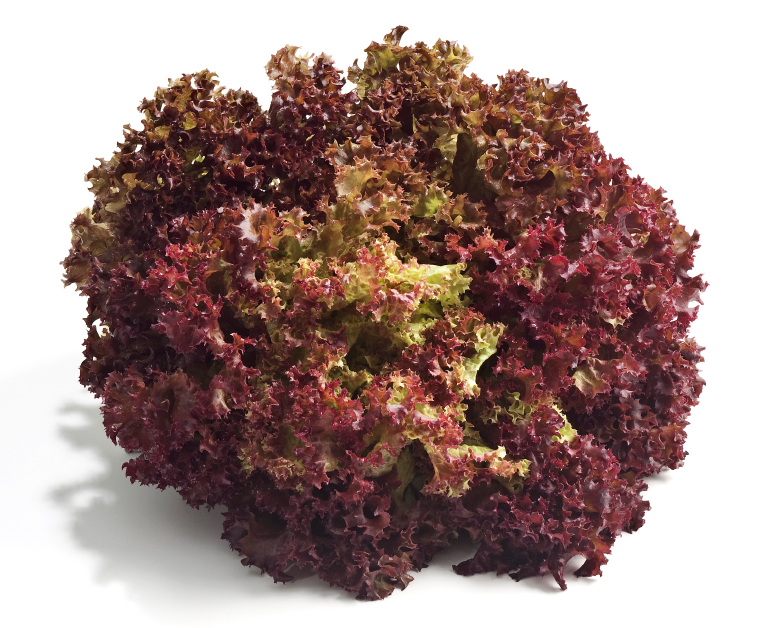 Red Salad Bowl-image