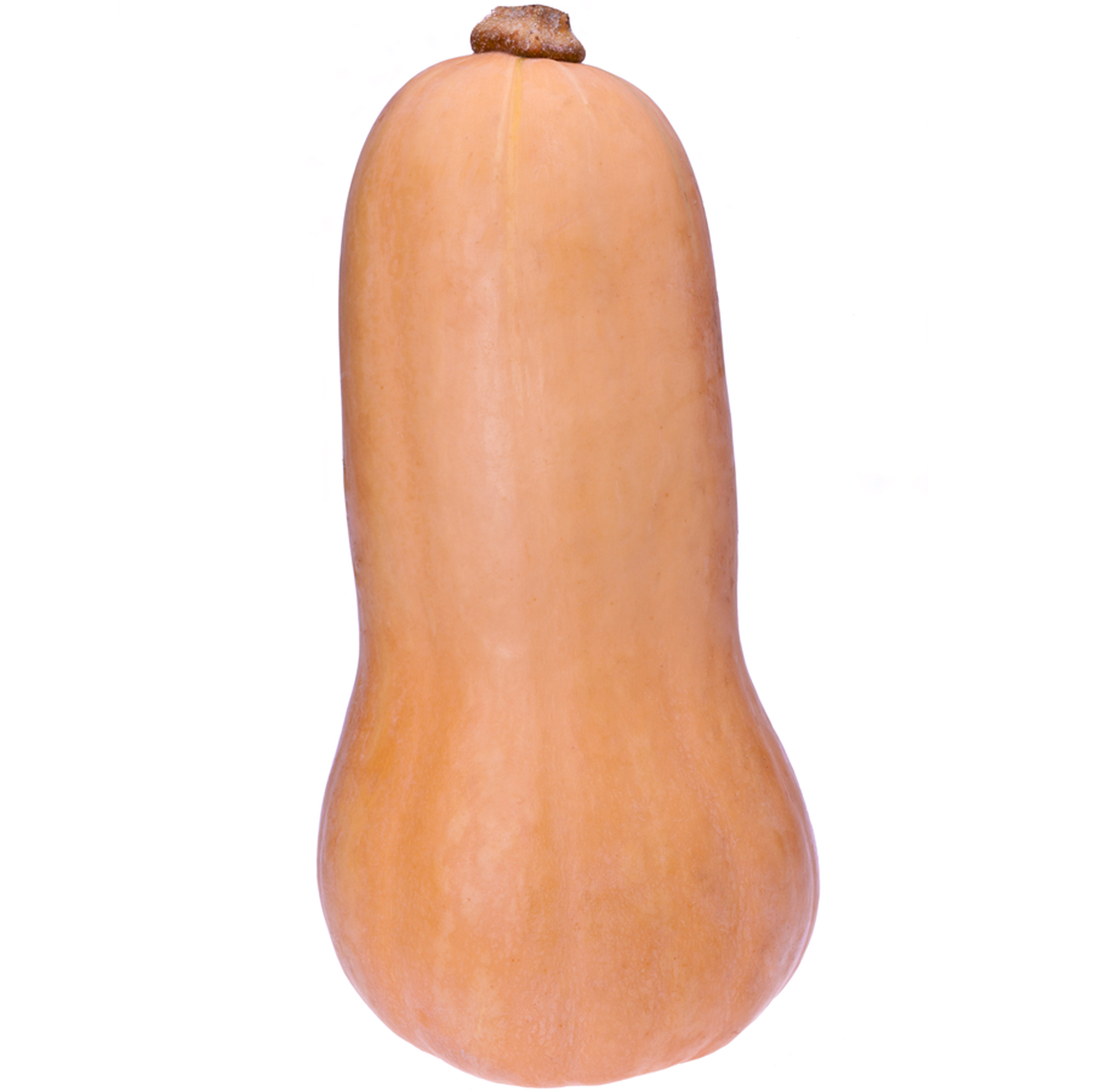 Waltham Butternut PS1-image